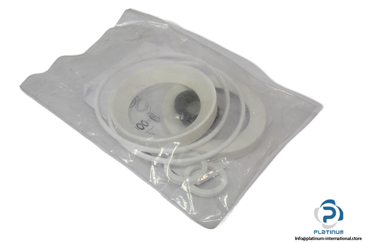 pentair-MCF06371180-seal-kit-(New).jpg