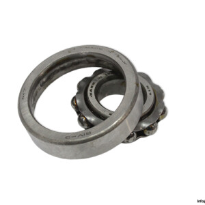 RIV N 17 Rolling Bearing