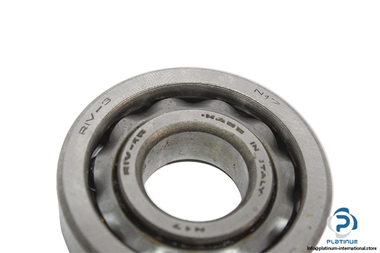 riv-N-17-rolling-bearing-(new)-1.jpg