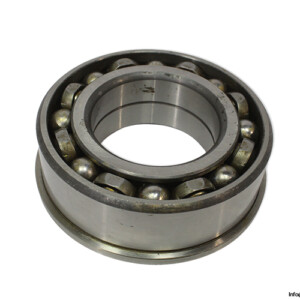 riv-613731-A-ball-bearing-(used).jpg