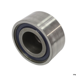 ina-F-110628.3-roller-bearing-(new).jpg