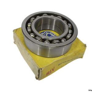 riv-613731A-5640113731-ball-bearing-(new)-(carton).jpg