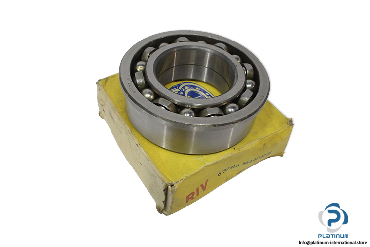 riv-613731A-5640113731-ball-bearing-(new)-(carton).jpg