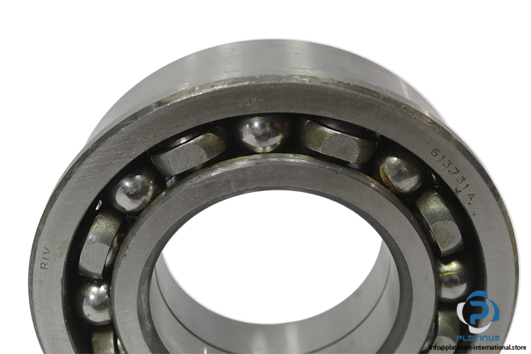 riv-613731A-5640113731-ball-bearing-(new)-(carton)-1.jpg