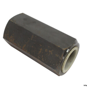 rexroth-S30A1.0-check-valve-(New).jpg