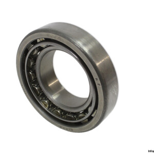 steyr-NU-210-cylindrical-roller-bearing-(new).jpg
