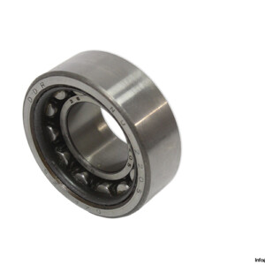 dkfddr-NU-2205-cylindrical-roller-bearing-(new).jpg