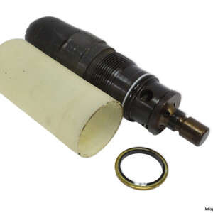 rexroth-DBDS10-K12_25-direct-operated-pressure-relief-valve-(Used).jpg
