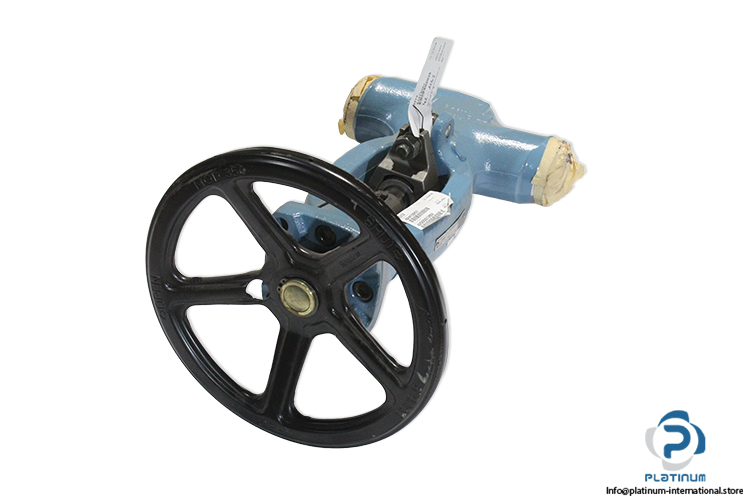 sempell-VA500-70071868_100_2-globe-valve-(New)-1.jpg
