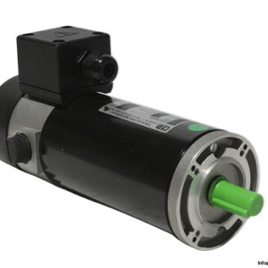 TEM D2M30056920M DC Motor