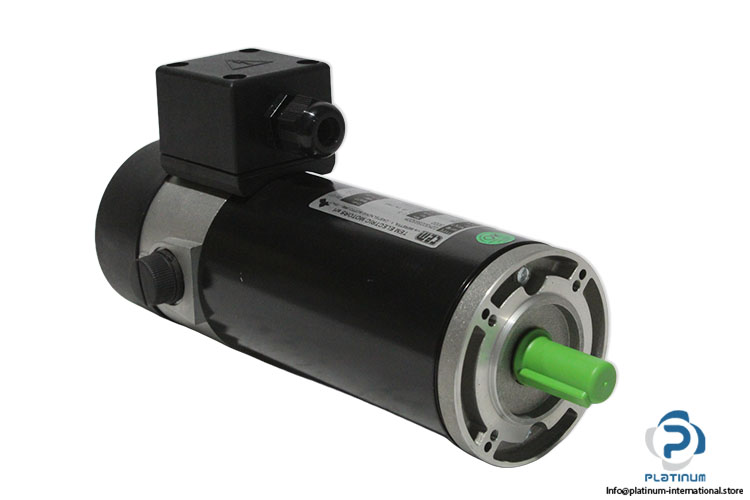 tem-d2m30056920m-dc-motor(new).jpg
