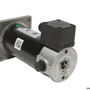 TEM D2M40110218M0 DC Motor