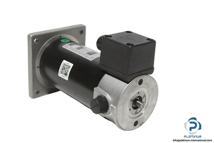 tem-D2M40110218M0-dc-motor(new).jpg