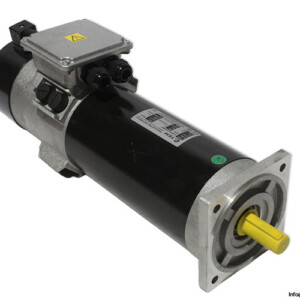 TEM D4M30121836MT DC Motor