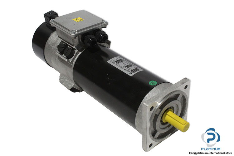tem-D4M30121836MT-dc-motor(new).jpg