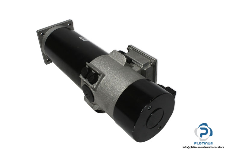 tem-D4M30121836MT-dc-motor(new)-1.jpg