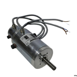 siboni-56pc905dt14-ds6x20-dc-motor(new).jpg