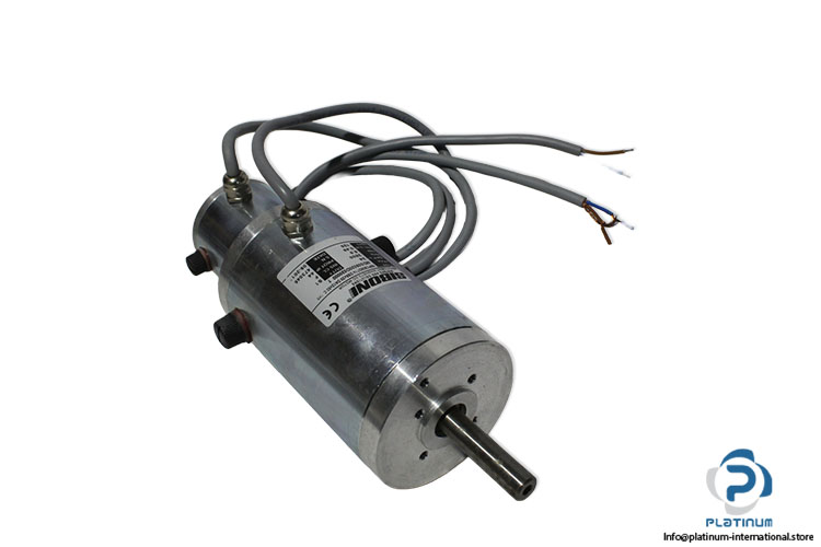 siboni-56pc905dt14-ds6x20-dc-motor(new).jpg