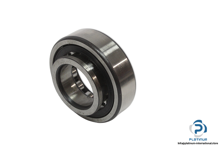 fag-NUP-205-E.TVP2-cylindrical-roller-bearing-(new).jpg