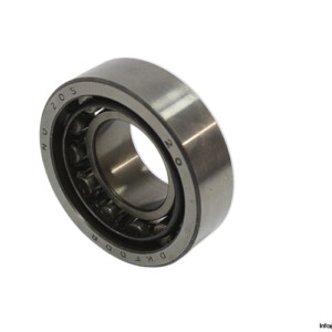 Dkfddr NU 205 Cylindrical Roller Bearing