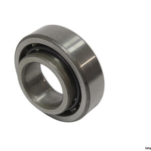 hic-NJ-205-cylindrical-roller-bearing-(new).jpg