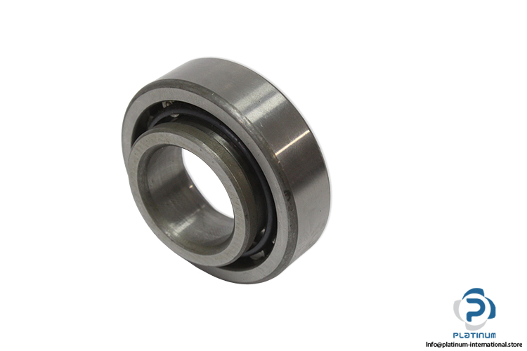 hic-NJ-205-cylindrical-roller-bearing-(new).jpg