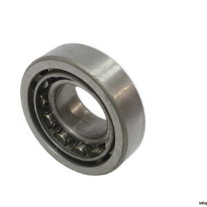 riv-2DAV_25-cylindrical-roller-bearing-(new).jpg