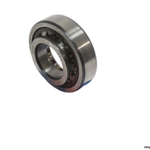 skf-NUP-206-ECP-cylindrical-roller-bearing-(new)-(carton).jpg