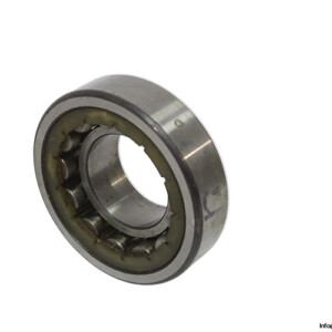 Dkfddr NU 206 Etng P Cylindrical Roller Bearing