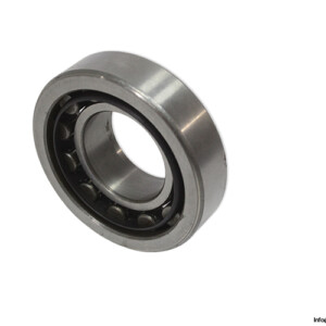 FLT NU 206 Cylindrical Roller Bearing
