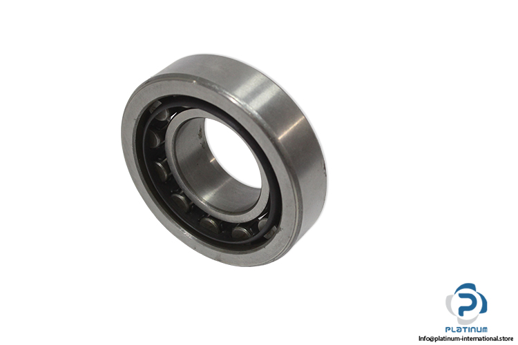 flt-NU-206-cylindrical-roller-bearing-(new).jpg