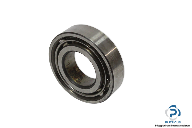 rbf-N-206-cylindrical-roller-bearing-(used)-1.jpg