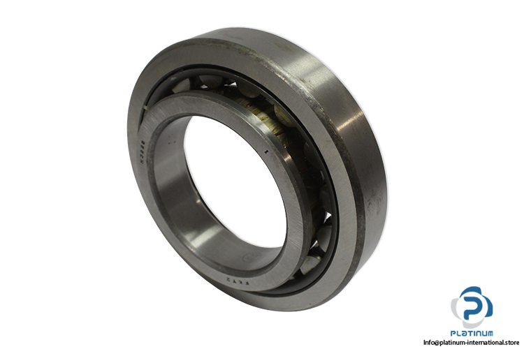 flt-NJ-220-cylindrical-roller-bearing-(new).jpg