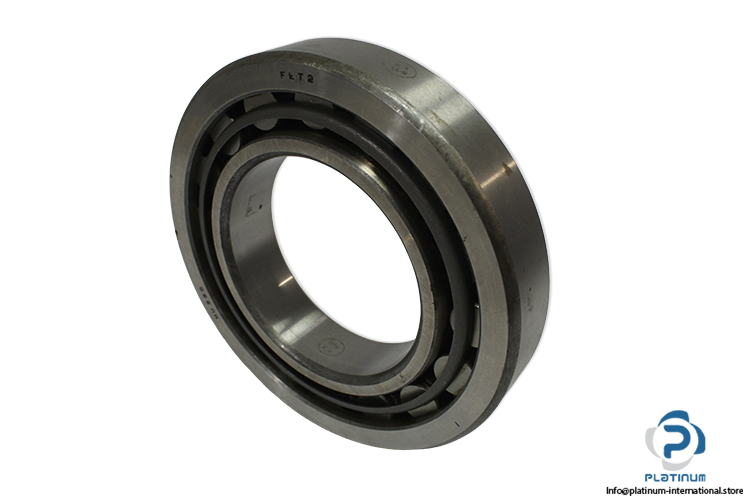 flt-NJ-220-cylindrical-roller-bearing-(new)-1.jpg