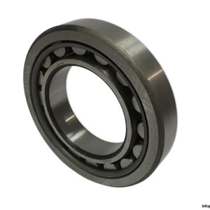 Dkfddr NU 220 Cylindrical Roller Bearing