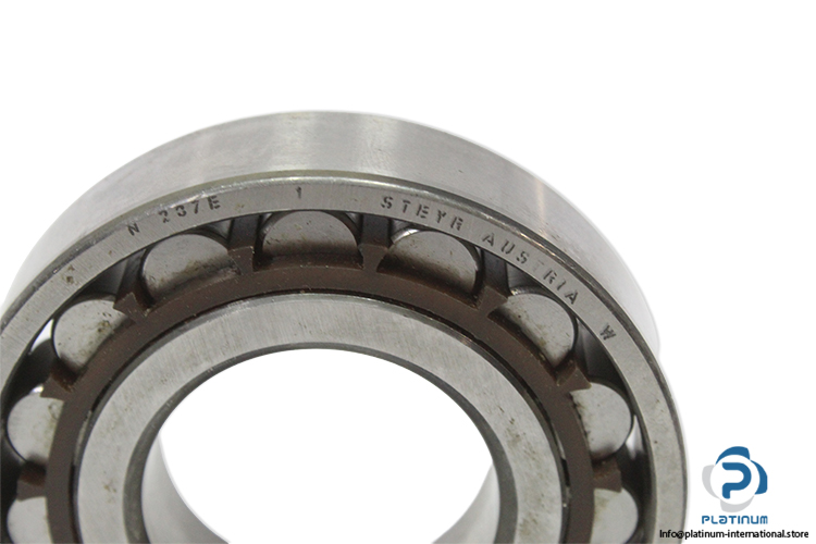 steyr-N-207-E-cylindrical-roller-bearing-(used)-1.jpg