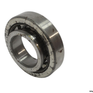 RIV 4 Dav/Q Cylindrical Roller Bearing