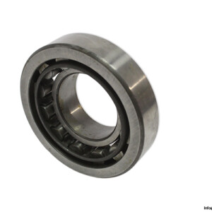 RIV 4 Davp Cylindrical Roller Bearing