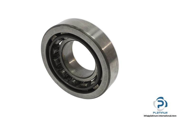 riv-4-DAVP-cylindrical-roller-bearing-(used).jpg