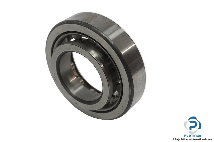 fag-NUP-207-cylindrical-roller-bearing-(new).jpg