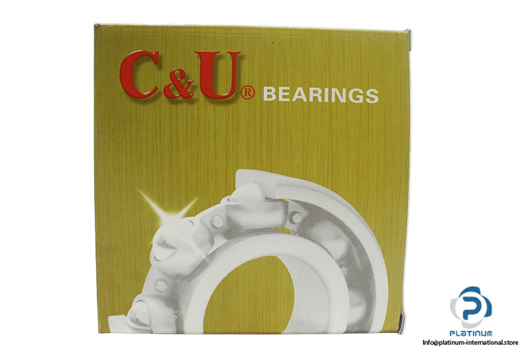 c-u-6313-2RZ-deep-groove-ball-bearing-(new)-(carton)-4