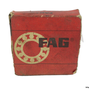FAG N 305 Cylindrical Roller Bearing