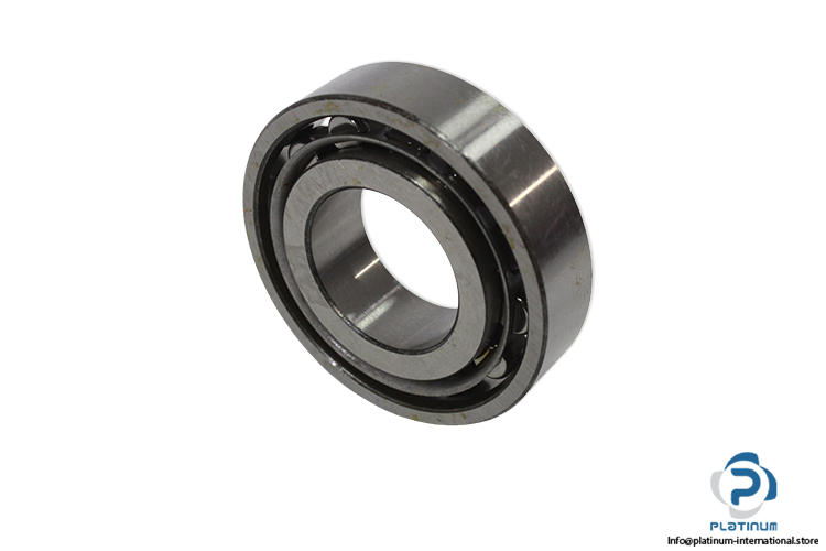 nel-NU204-cylindrical-roller-bearing(new-carton)-1