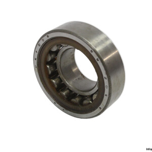 Dkfddr NJ 205 ETNGPC3 Cylindrical Roller Bearing
