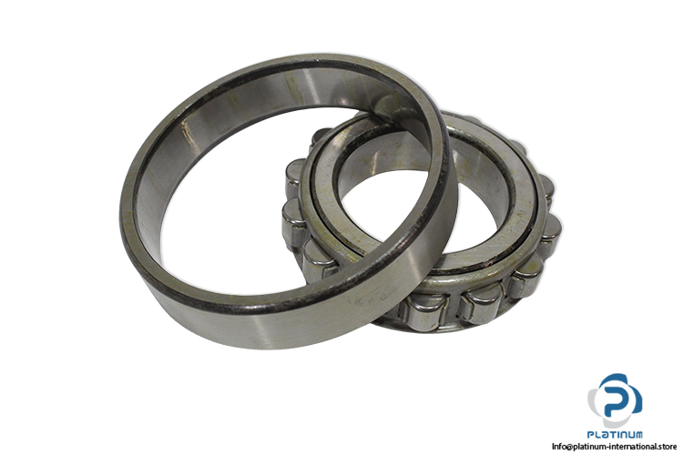 N209-cylindrical-roller-bearing(new-carton)