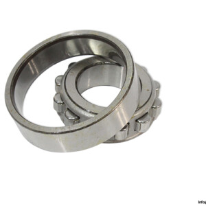 N 206 Cylindrical Roller Bearing