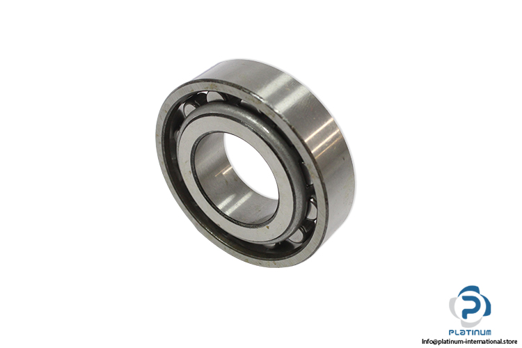 N206-cylindrical-roller-bearing(new-without-carton)-1