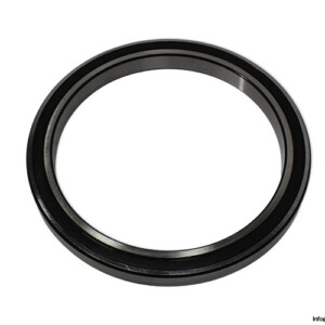 61844-2RS1 Deep Groove Ball Bearing