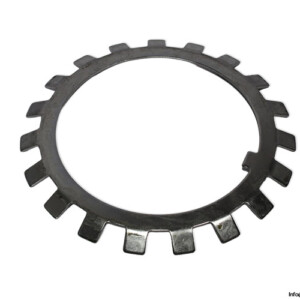 MB 31 Lock Washer