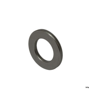 INA LS1730 Washer